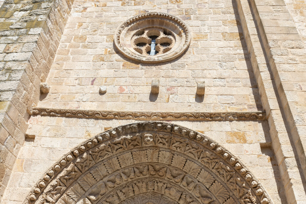 ZamorArte 010824 230