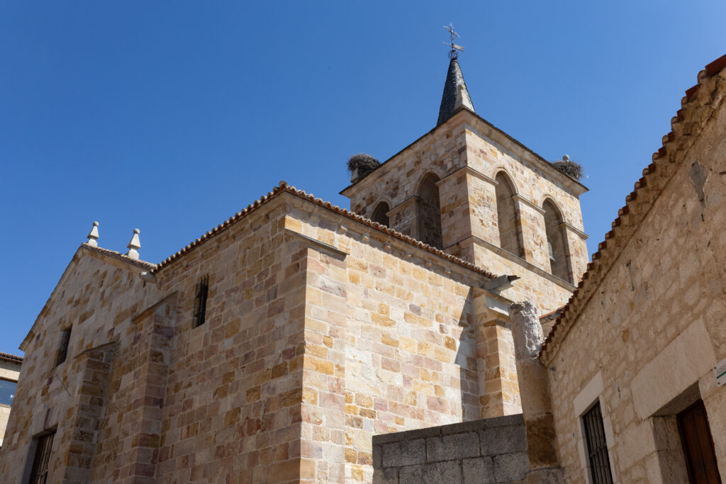 Iglesisa de San Cipriano 2 ZamorArte 310724 74